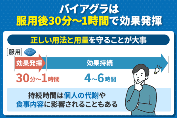 バイアグラの効能時間を解説した棒グラフ