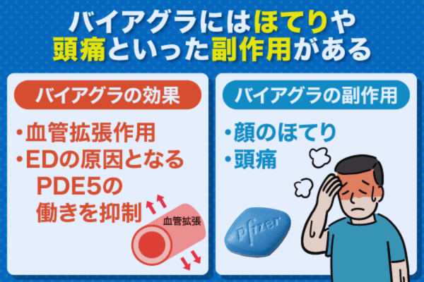 バイアグラの効果と副作用を比較した図解画像