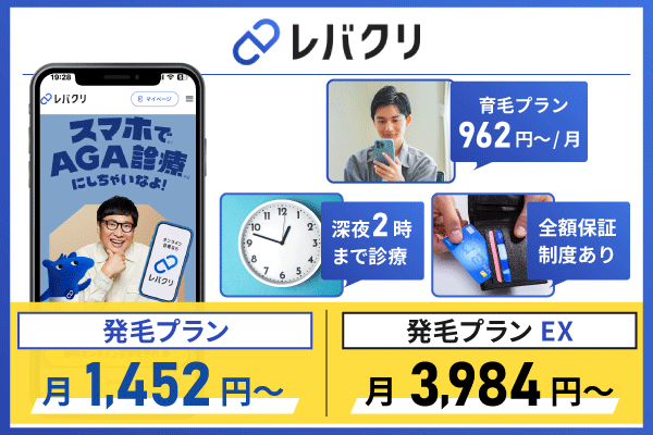 レバクリの基本情報についてまとめた画像